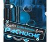 Radio Pachuche