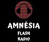 Amnesia Flash Radio