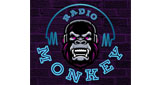 Monkey radio