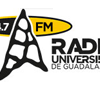 UDG Radio