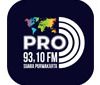 PRO 93.10 FM Purwakarta