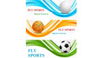 Fly Sports