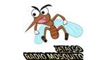 Radio Mosquito Fm
