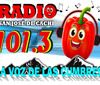 Radio 101.3 - Cachi - Salta - Argentina