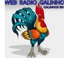 Radio Galinho
