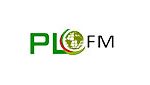PLFM Radio