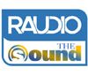 Raudio - The Sound