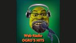 Web Rádio Ogro's Hits