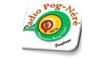 Radio Pognere