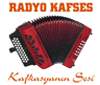 Radyo Kafses