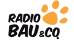 Radio 105 Radio Bau & Co