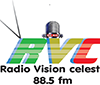 Radio Vision Celeste