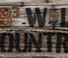 98.3 Wild Country