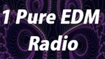 1 Pure EDM Radio