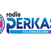 Radio Perkasa FM
