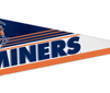 Miner IMG Sports Network