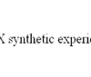 SDX Synthetic Experience