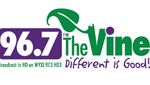 The Vine