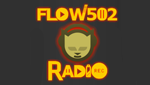 Flow 502 Radio