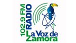 La Voz de Zamora