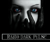 Radio Dark Pulse