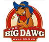 The Big Dawg