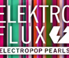 FluxFM - ElektroFlux