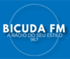 Rádio Bicuda