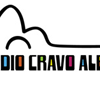 Rádio Cravo Albin