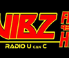 Vibz FM