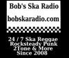 Bob's SKA Radio