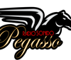 Radio Sonido Pegasso