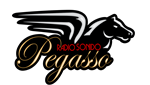 Radio Sonido Pegasso