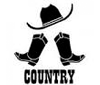 TopCountry100