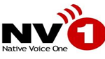 Native Voice One