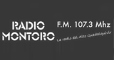 Radio Montoro