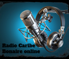 Radio Caribe Boneiru Online