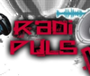 Radio Pulso Net