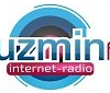 Kuzmin FM