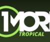 1More - Tropical