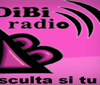 Dibi Radio