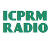 ICPRM Network Group Station