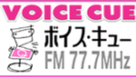 VOICE CUE