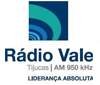 Rádio Vale AM