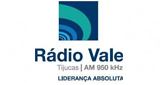 Rádio Vale AM