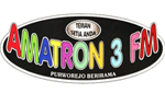 Amatron 3 FM