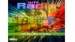 113.FM Hits USA (Top 40 / Hits)