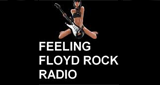 Feeling Floyd Rock