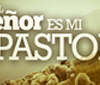 El Señor es mi Pastor