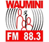 Radio Waumini